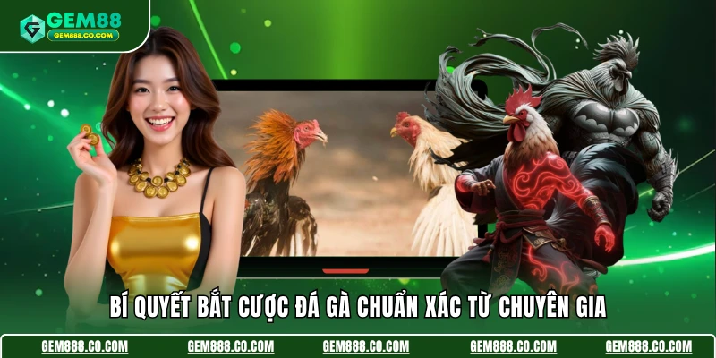 Đá Gà Cựa Sắt - Lựa Chọn Kích Thích Đáng Thử Số 1 Về Chọi Kê 4 Bí quyết bắt cược đá gà chuẩn xác từ chuyên gia