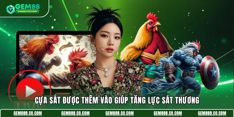 Đá Gà Cựa Sắt - Lựa Chọn Kích Thích Đáng Thử Số 1 Về Chọi Kê 2 Cựa sắt được thêm vào giúp tăng lực sát thương