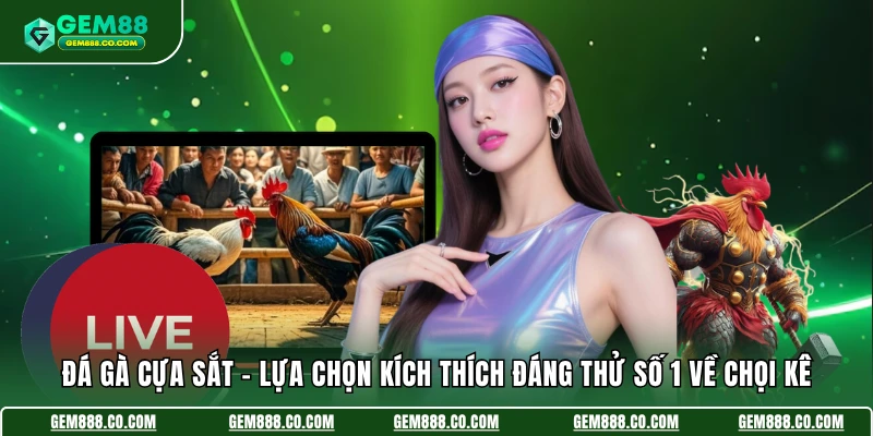 Đá Gà Cựa Sắt - Lựa Chọn Kích Thích Đáng Thử Số 1 Về Chọi Kê 2 Đá Gà Cựa Sắt