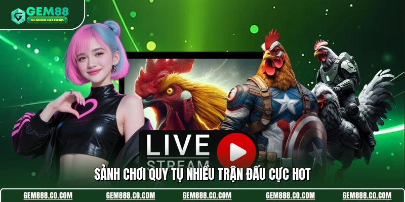 Đá Gà Gem88 1 Sảnh chơi quy tụ nhiều trận đấu cực hot
